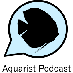 Aquarium beragampengetahuan Podcast: Ep. 111 – Beragampengetahuan