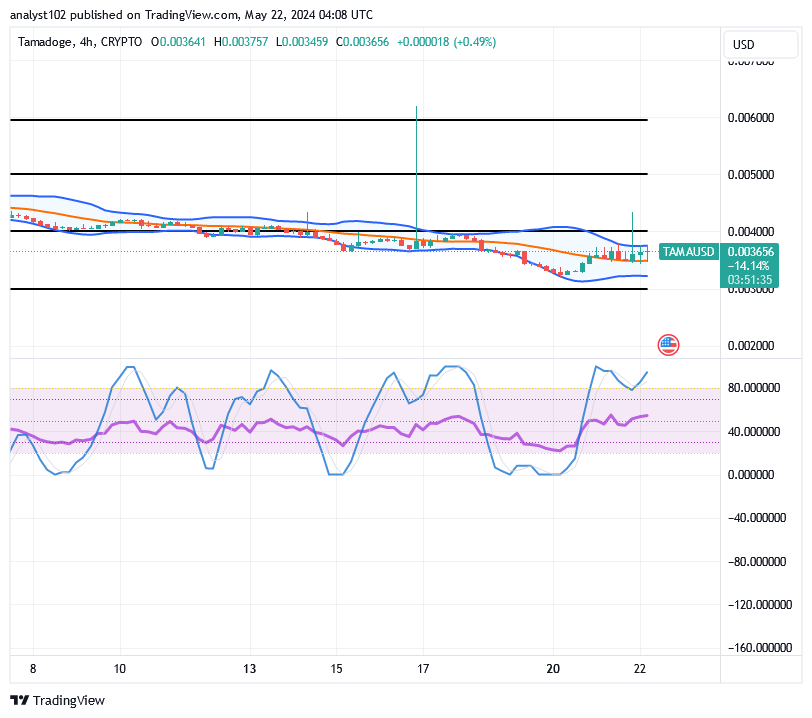 Tamadoge (TAMA/USD) Price Bounces, Trading Below $0.005 – Beragampengetahuan