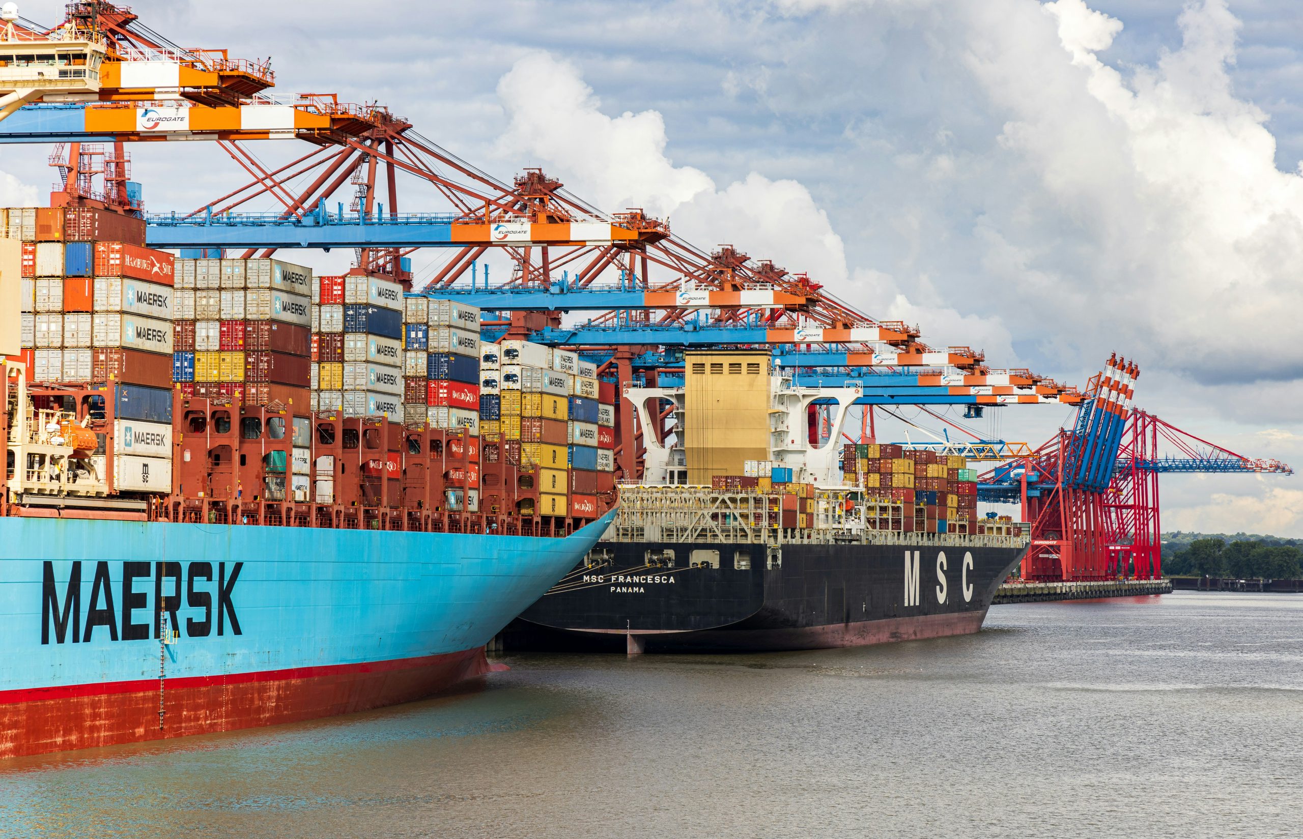 What is the market forecast for exports from Asia? – Beragampengetahuan