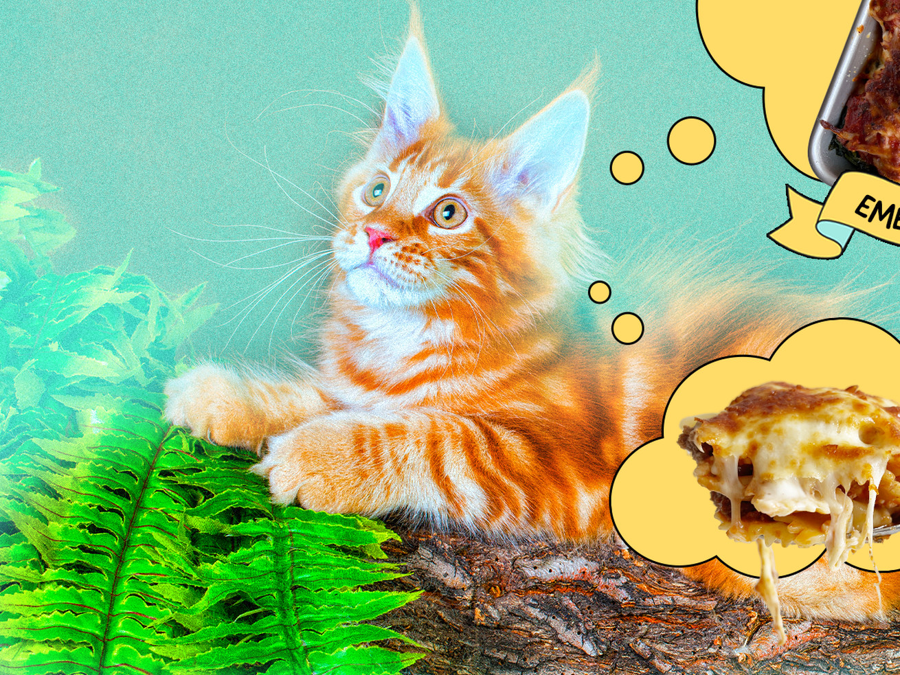 A photo illustration of a cat thinking about lasagna