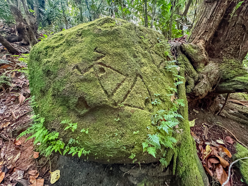 Stone with carvings at the Obakelderau Petroglyph site in Palau