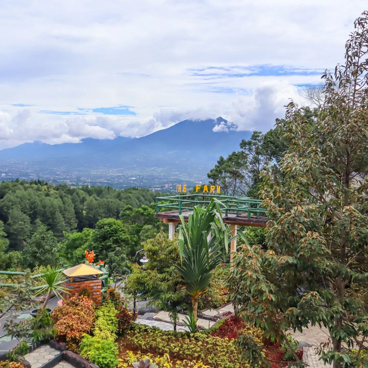 Destinasi Wisata Edukasi : The Farm Pancawati Bogor – Beragampengetahuan.com