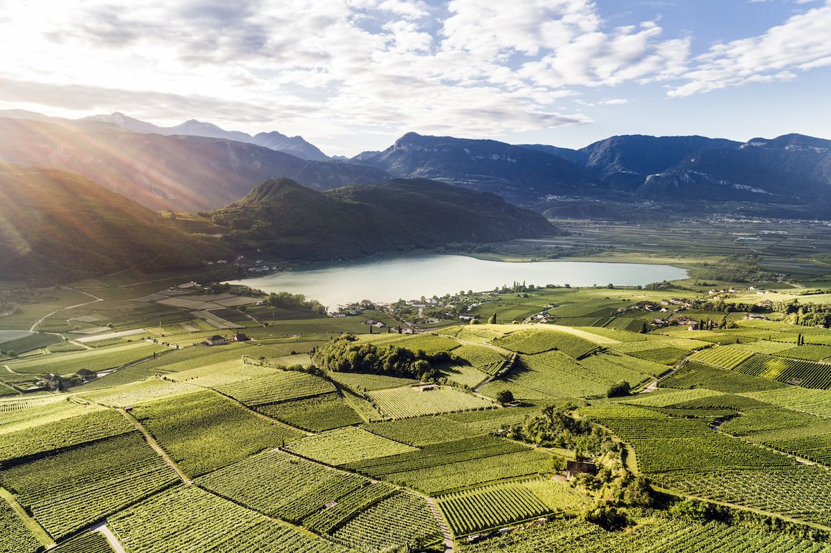 3 Pasangan Anggur Makan Malam Musim Panas yang Saya Hargai dari Kawasan Anggur yang Sepenuhnya Baru

 – Beragampengetahuan