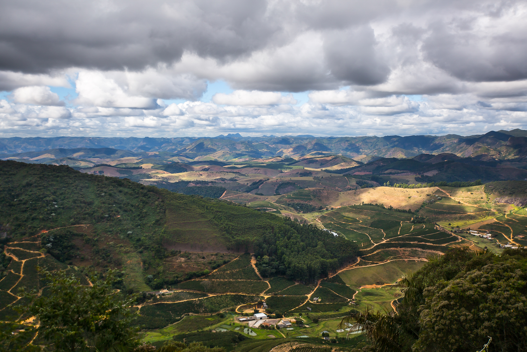 Empat organisasi melakukan kebaikan iklim melalui kopi

 – Beragampengetahuan