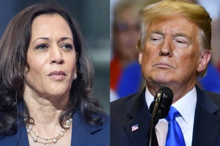 Kamala Harris memimpin dalam delapan jajak pendapat nasional baru

 – Beragampengetahuan