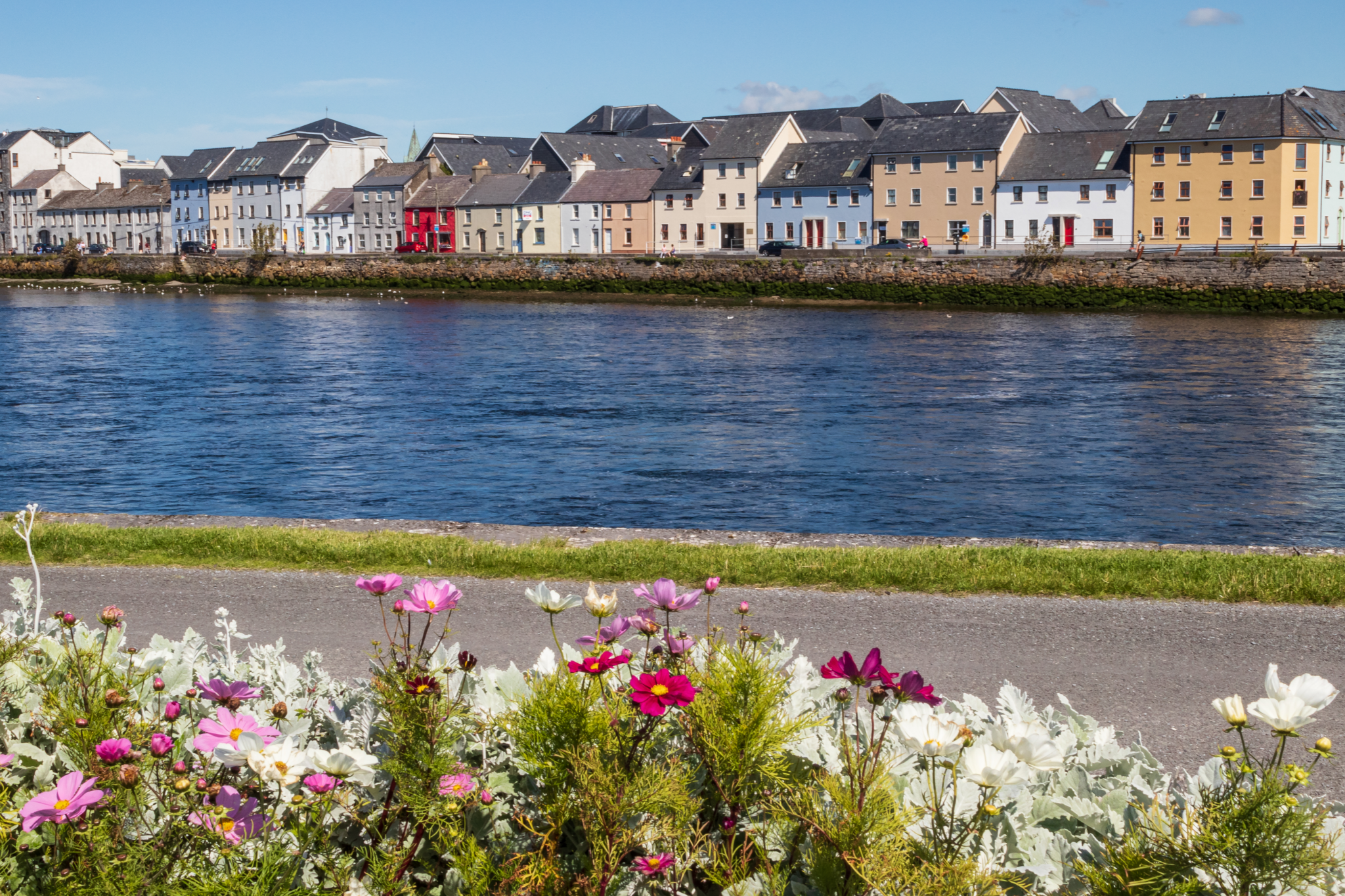 Temukan Galway, Irlandia: panduan kota tentang sejarah, budaya, dan kesenangan

 – Beragampengetahuan