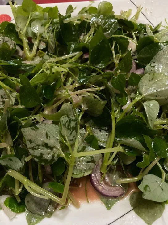salad pancit-pancitan yang sederhana dan enak