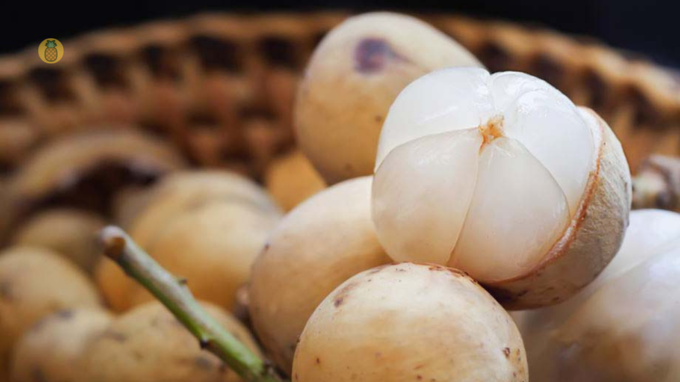 18 Manfaat Buah Duku Bagi Kesehatan Tubuh Kita – Beragampengetahuan.com