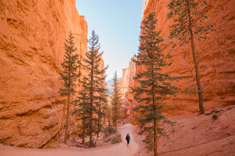 Lina Stock of beragampengetahuan hiking Wall Street in Bryce Canyon