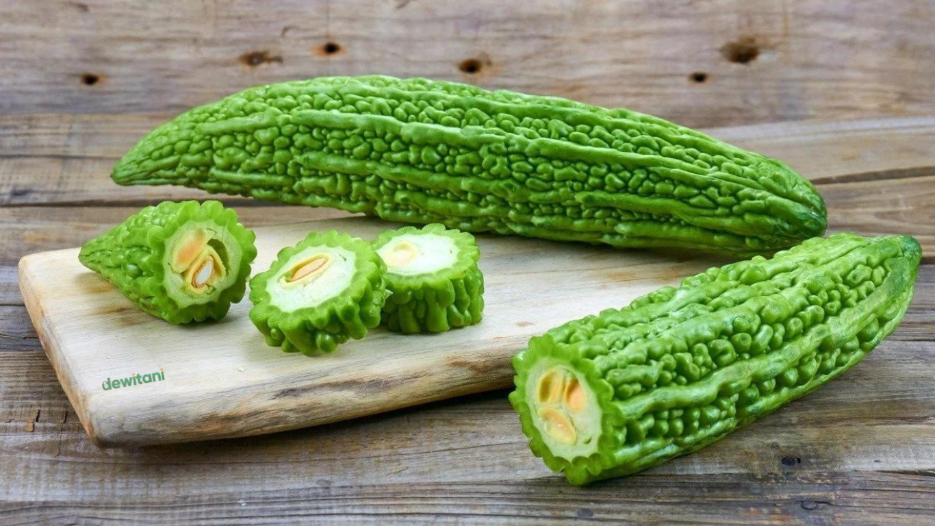 Manfaat Sayuran Pare Bagi Kesehatan Tubuh – Beragampengetahuan.com