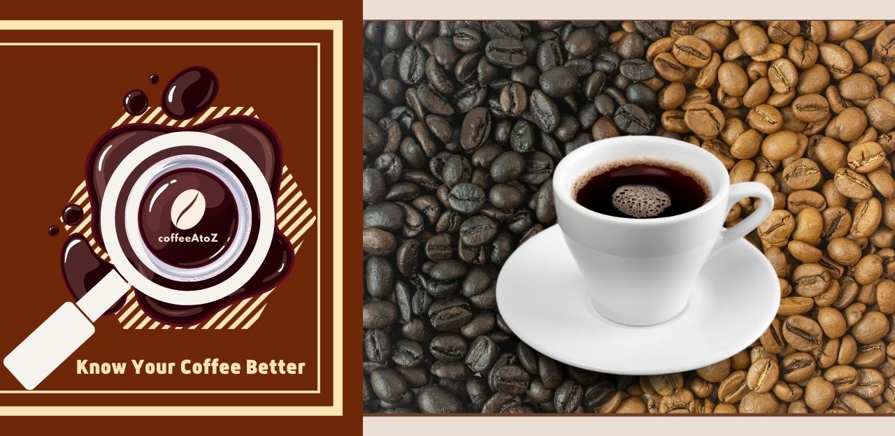Espresso Beans VS. Coffee Beans – Beragampengetahuan