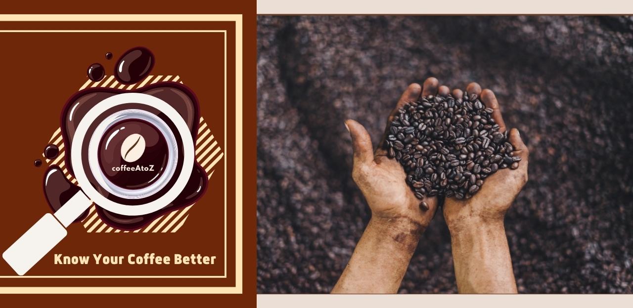 Apa itu espresso panggang? Temukan rahasianya pada tahun 2024

 – Beragampengetahuan