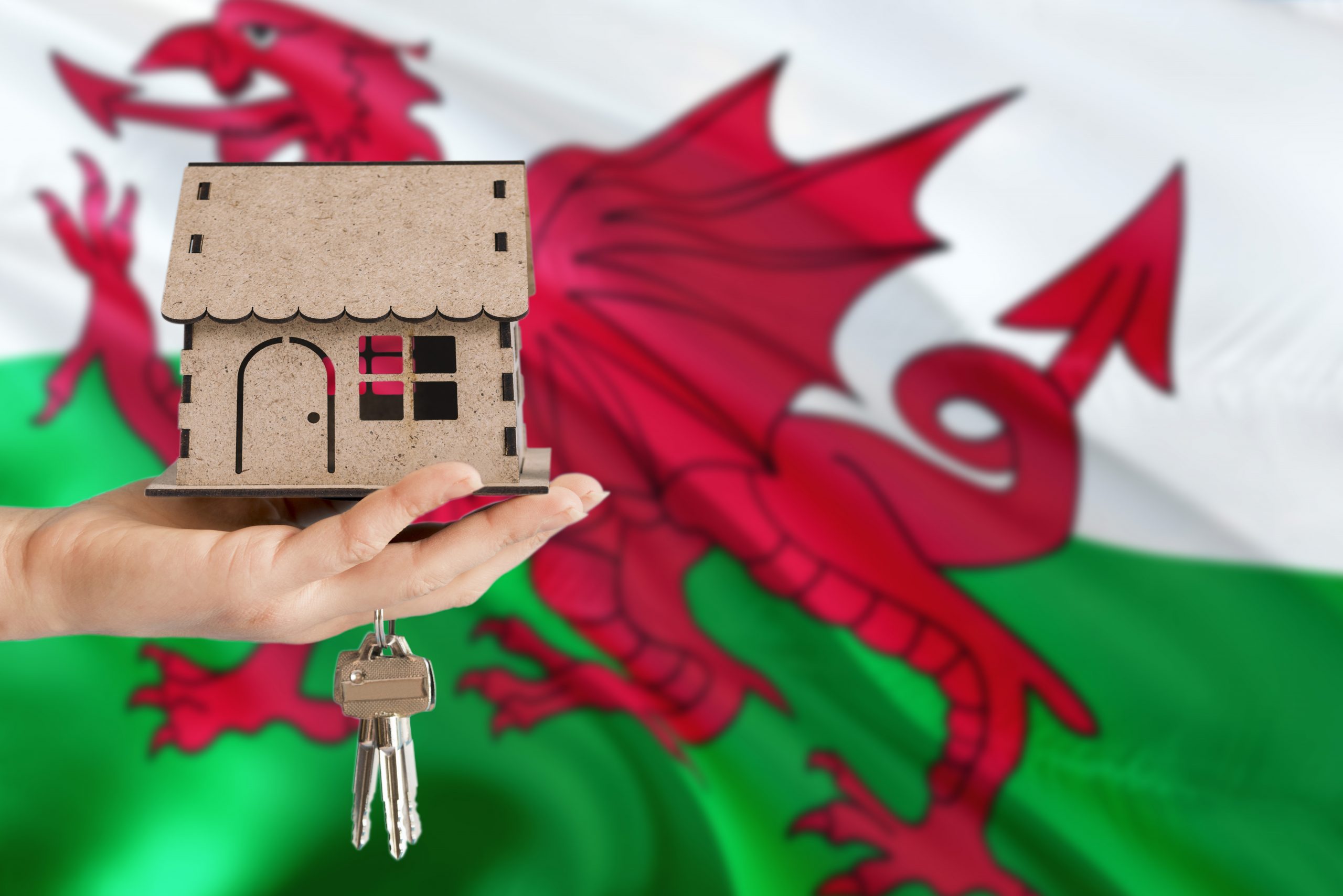 Pemerintah Welsh memuji Sewa yang Adil dan Buku Putih Perumahan yang Layak

 – Beragampengetahuan