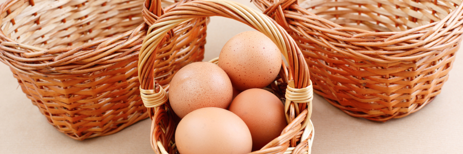 Ke Niche atau Tidak ke Niche: Jebakan Spesialisasi Berlebihan

 – Beragampengetahuan