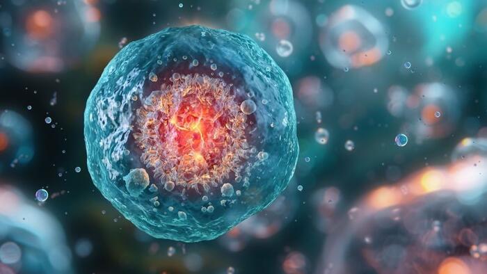 Biohacking untuk Meningkatkan Kesehatan |

 – Beragampengetahuan