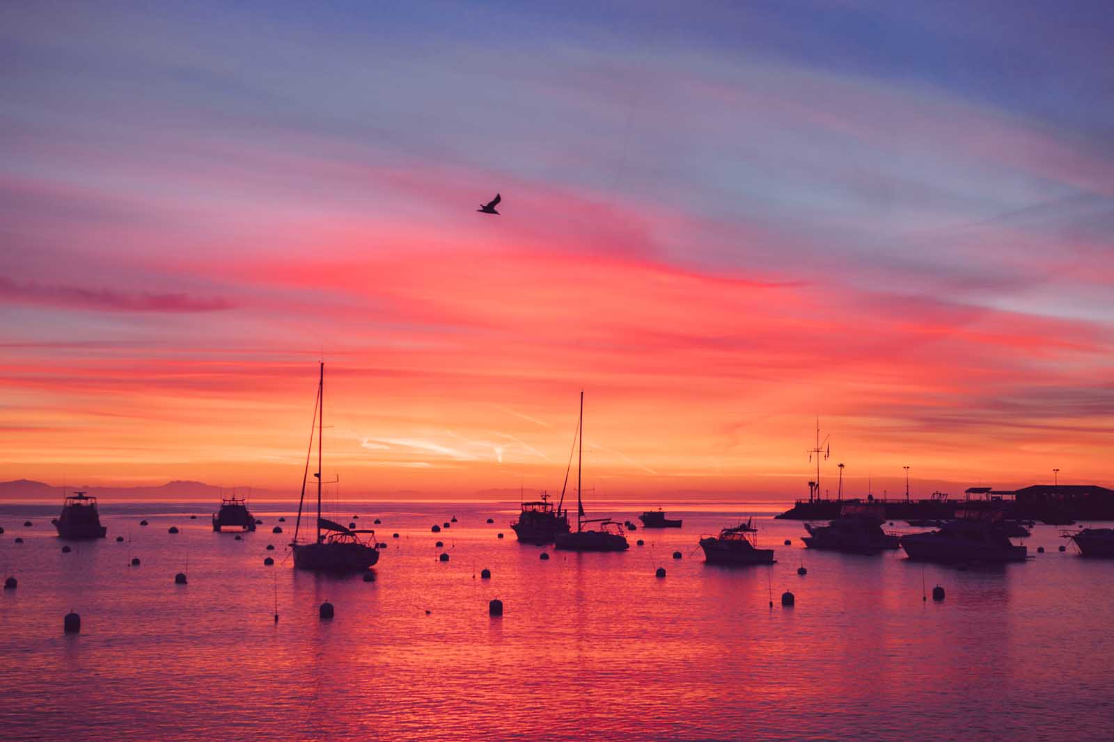 Catalina Island, California – I chickened out; But somehow got rewarded – Beragampengetahuan