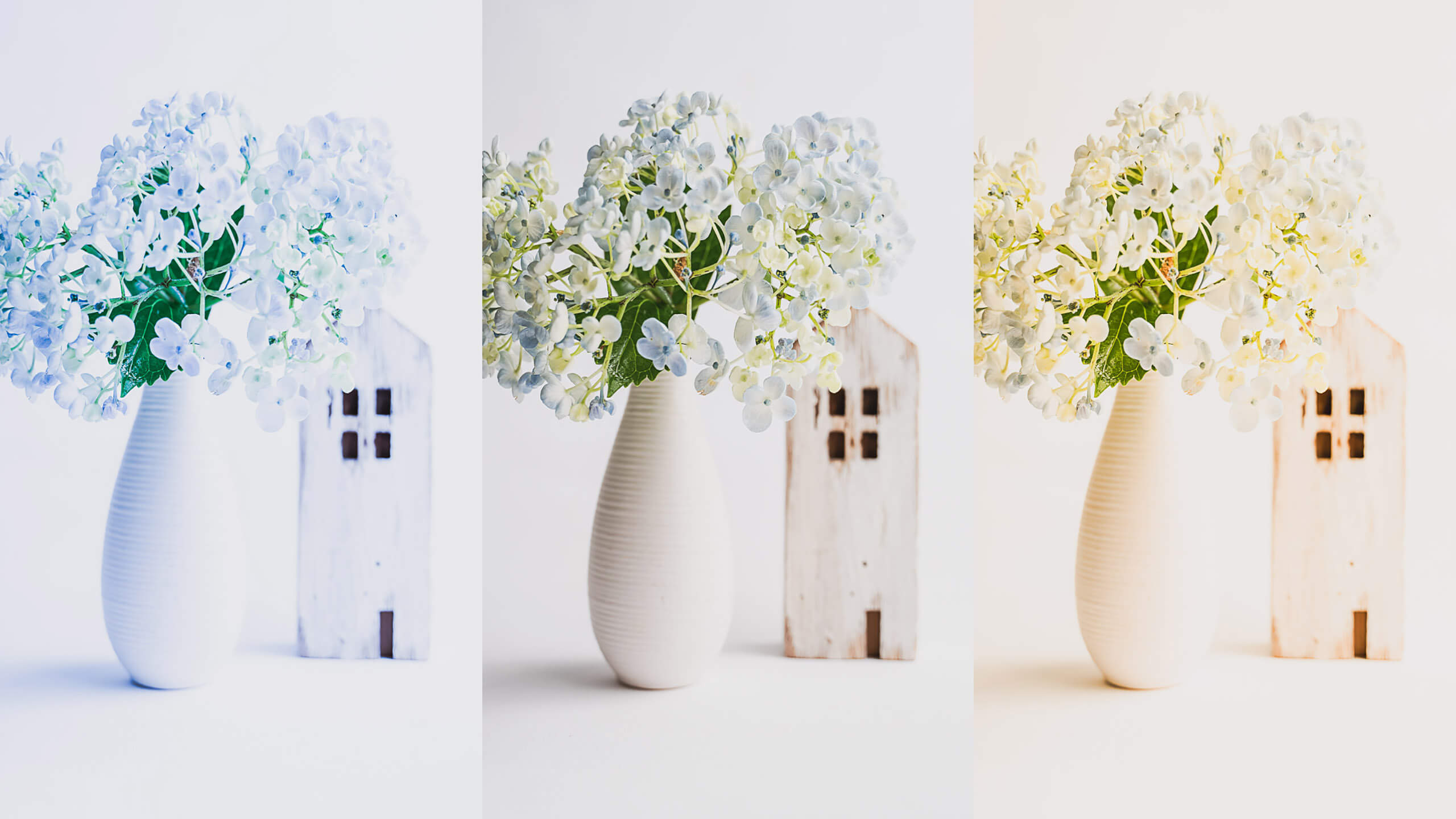 Pengaturan white balance apa yang Anda gunakan?

 – Beragampengetahuan