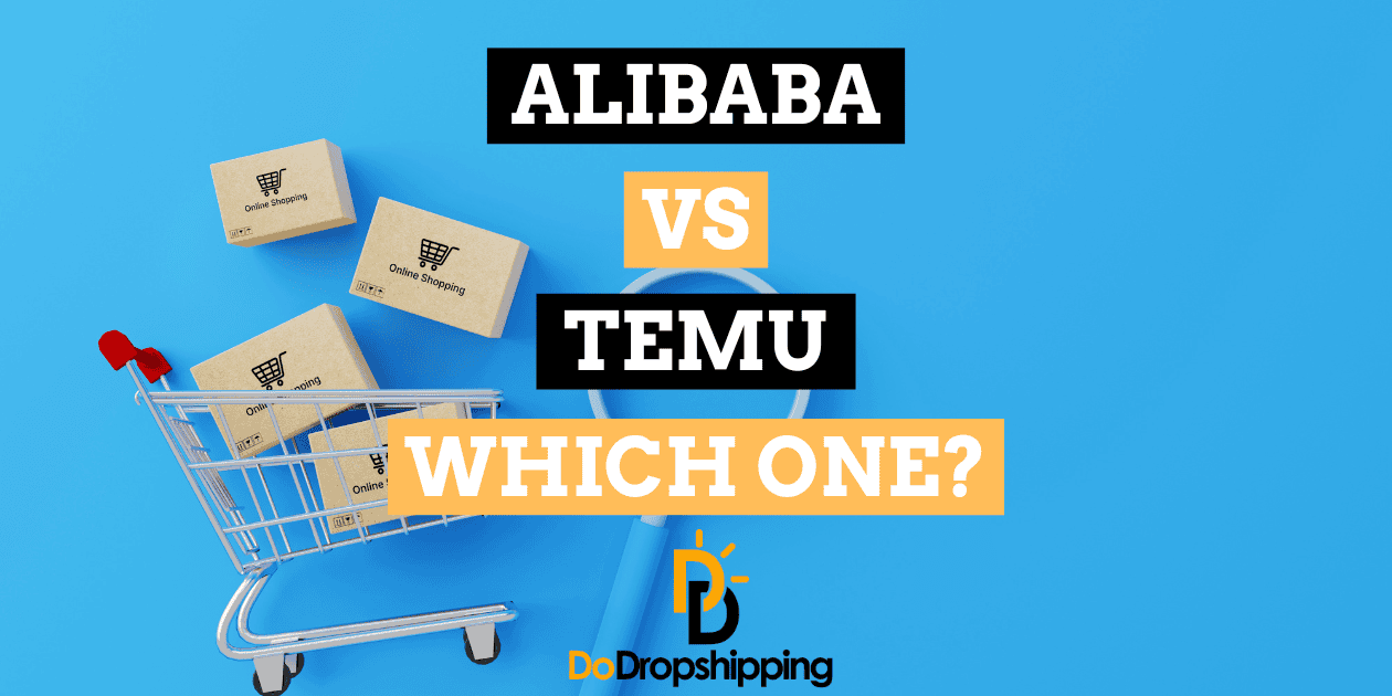 Which One for Dropshipping in 2024? – Beragampengetahuan