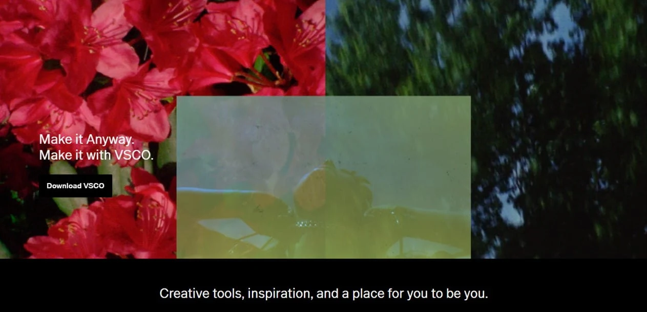 VSCO free photo editor blogging tool
