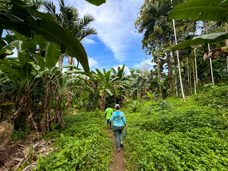 Lina Stock hiking through the jungle to Haroro Village at Roderick Bay, Solomon Islands
