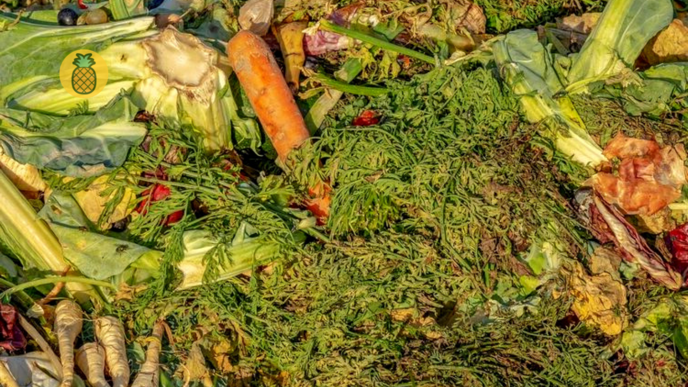 Cara Membuat Pupuk Kompos Dari Sampah Organik – Beragampengetahuan.com