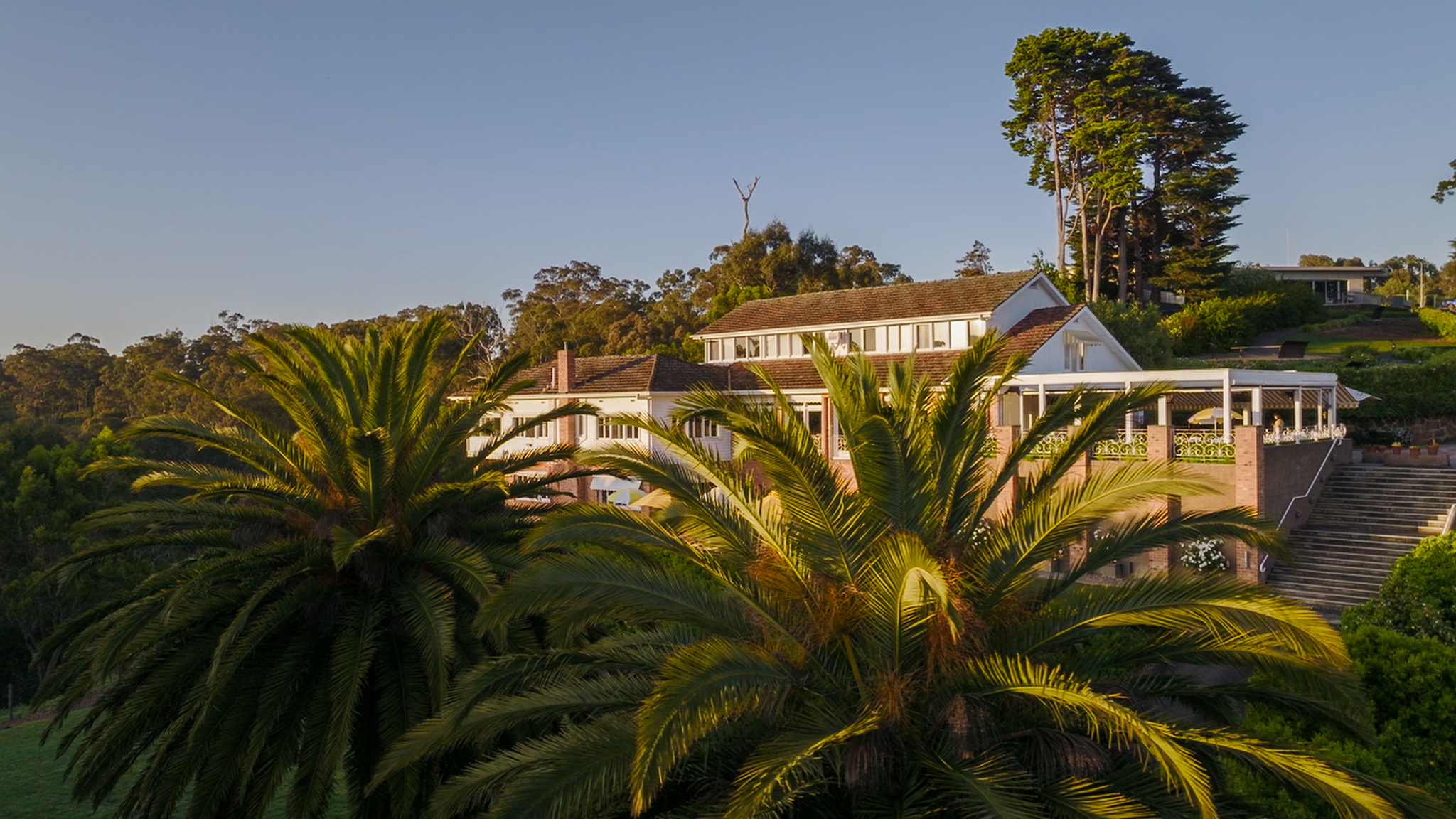 Penjual Minggu Ini – Ladang Vigano

 – Beragampengetahuan