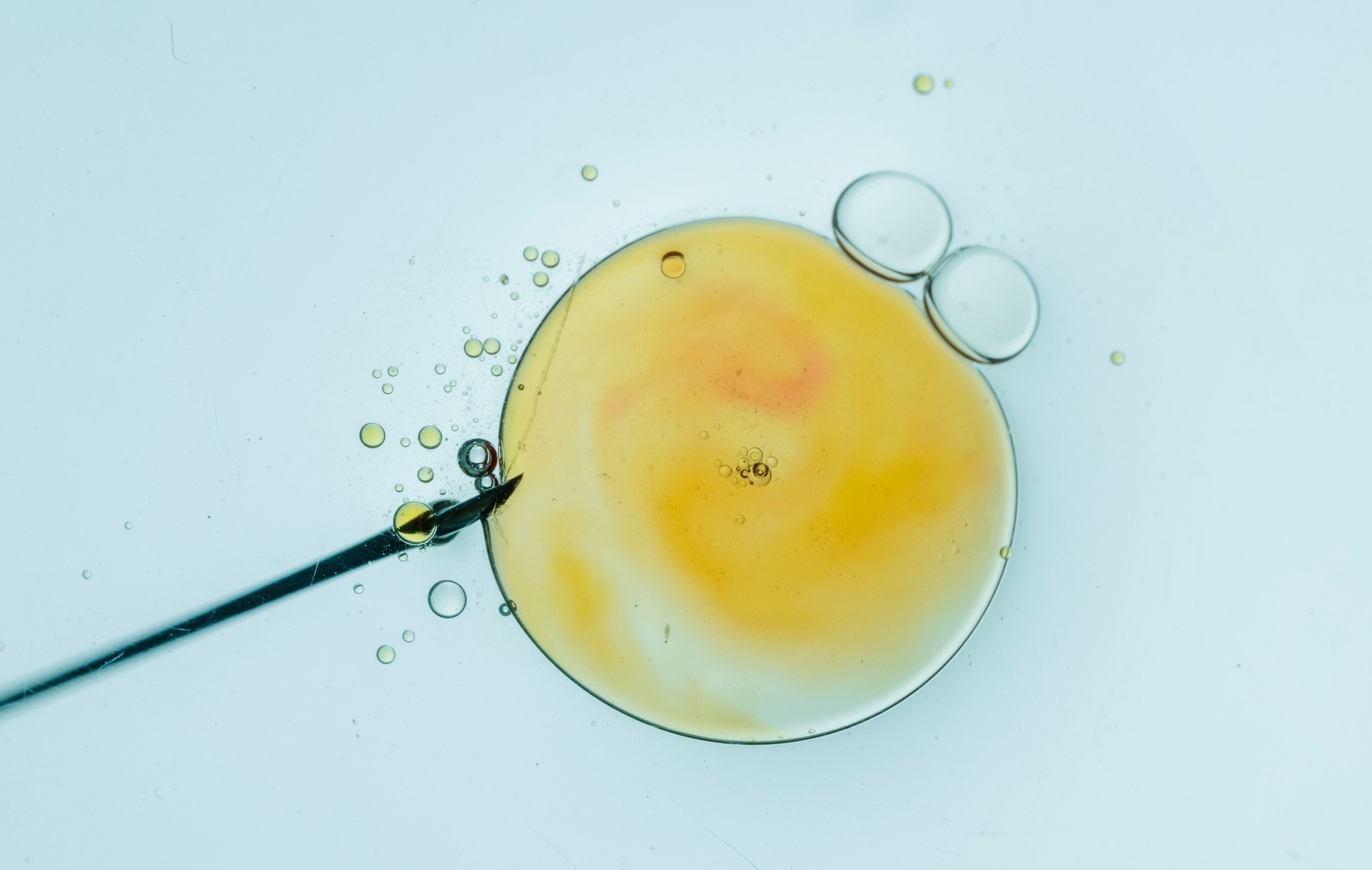 Subsidi IVF yang diberikan Trump berarti bencana 

 – Beragampengetahuan