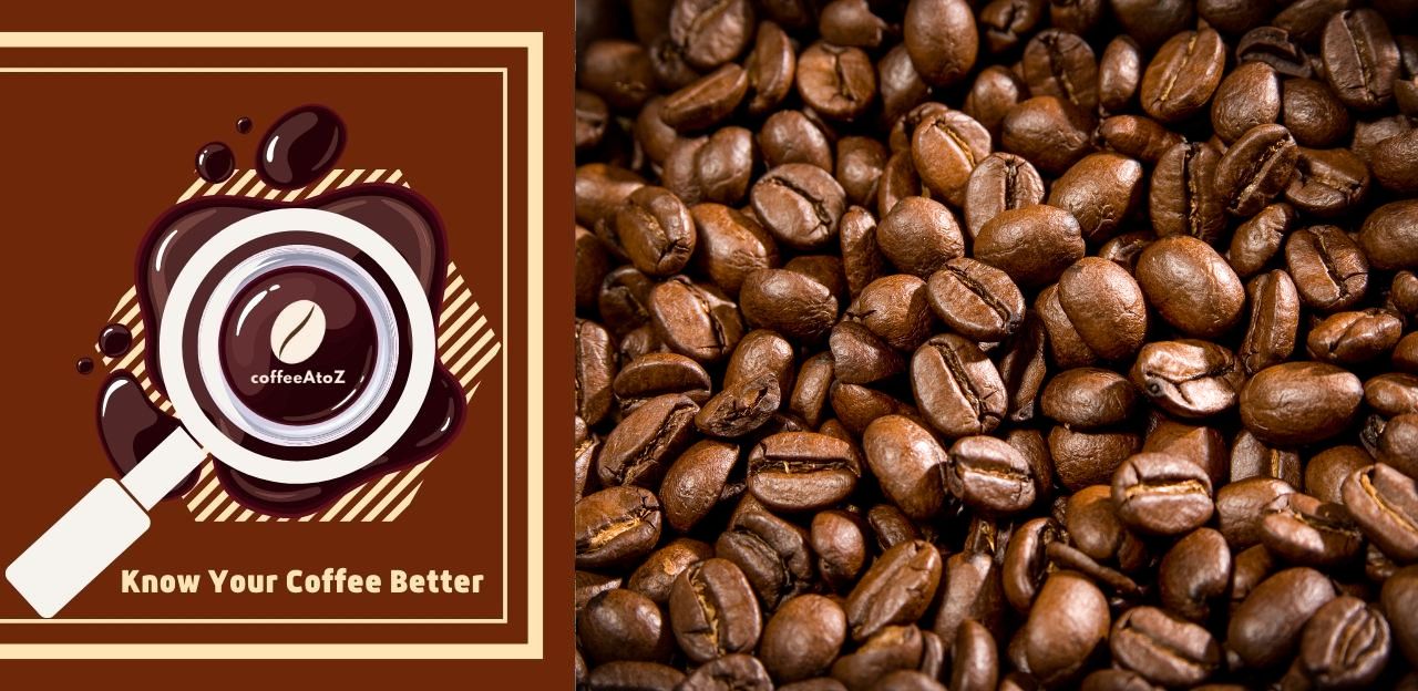 Kalkulator biji utuh dan kopi bubuk

 – Beragampengetahuan