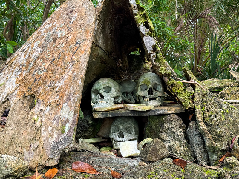 Skulls on Skull Island in the Solomon Islands