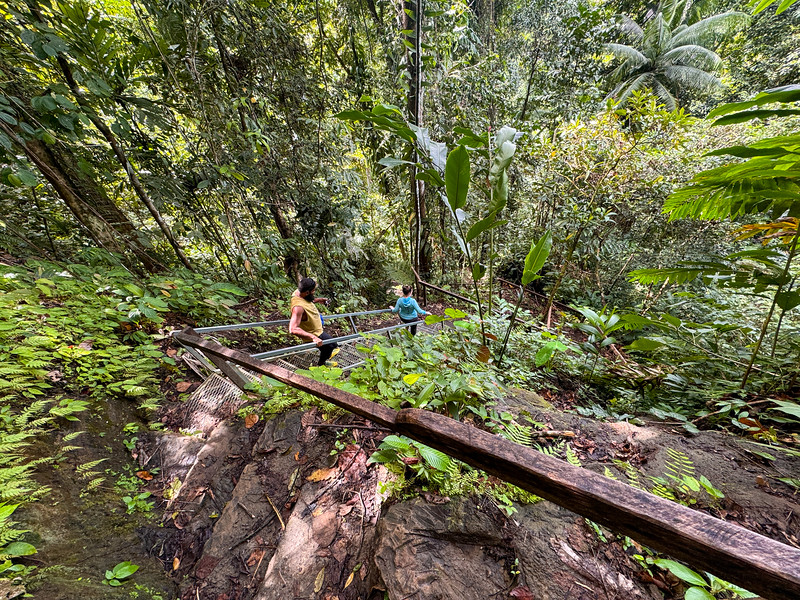 Hiking trail to Tenaru Falls in the Solomon Islands