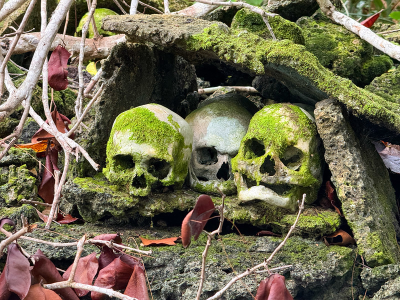 Skulls on Skull Island in the Solomon Islands