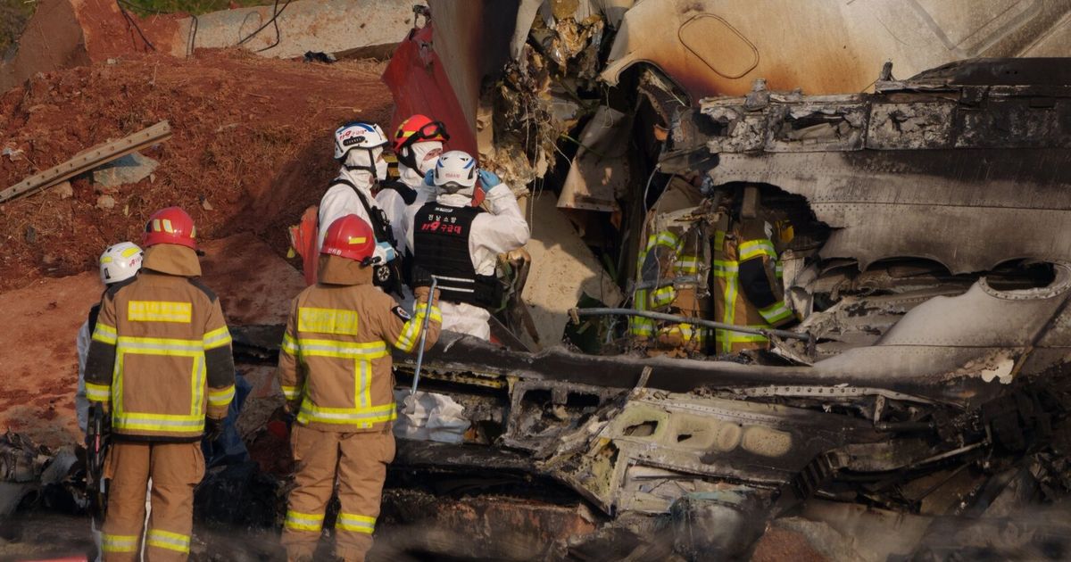 Dari serangan burung hingga kecelakaan: Empat menit misteri nasib pesawat Jeju Air

 – Beragampengetahuan