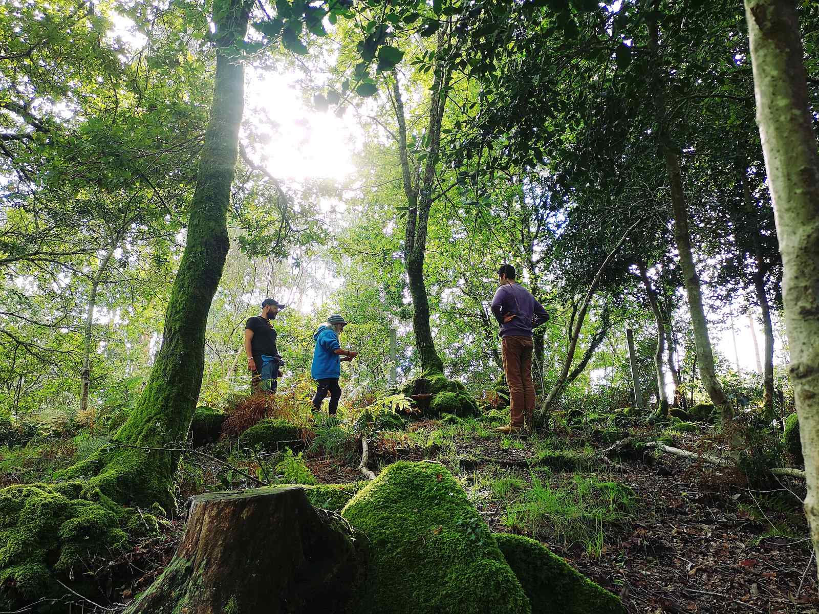 Fixar dan kekuatan transformatif produksi ternak pedesaan di Galicia

 – Beragampengetahuan