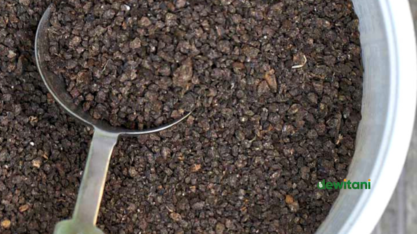12 Manfaat Pupuk Guano dan Panduan Pembuatannya Di Rumah | – Beragampengetahuan.com