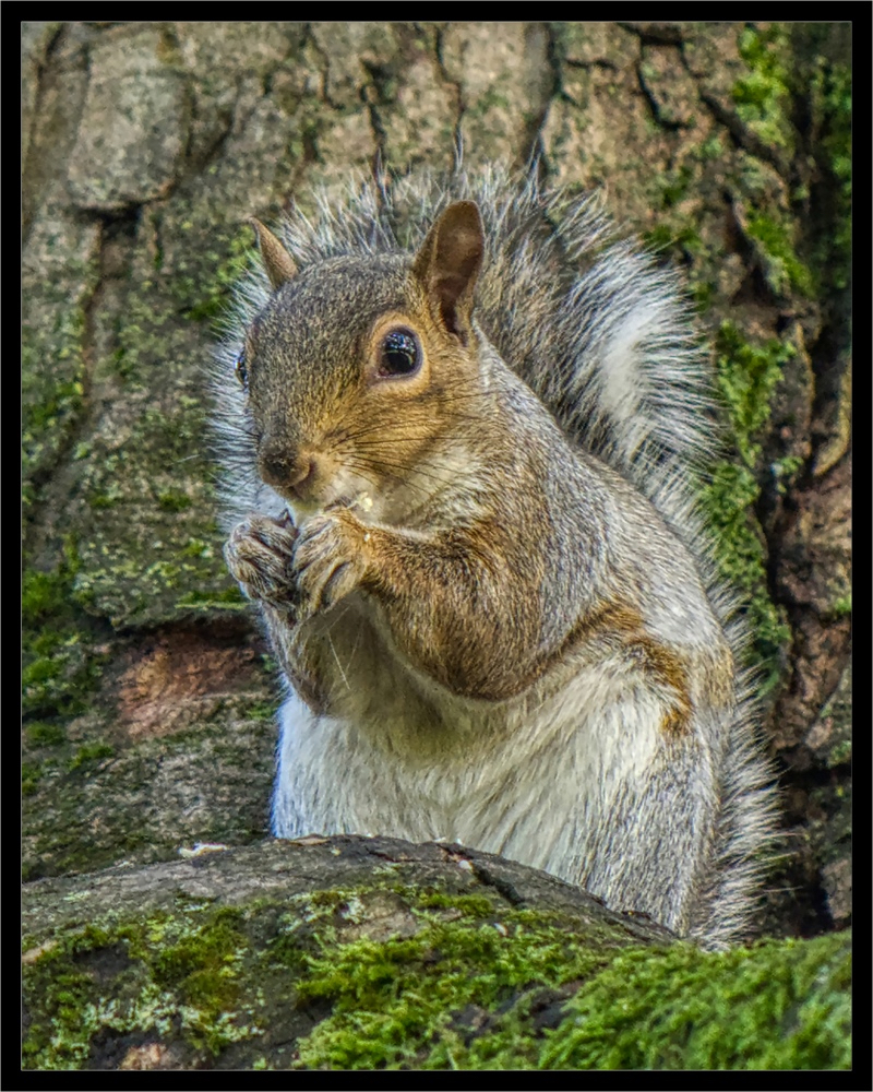 Tautan 28/12/2024 |. Kapitalisme Telanjang

 – Beragampengetahuan