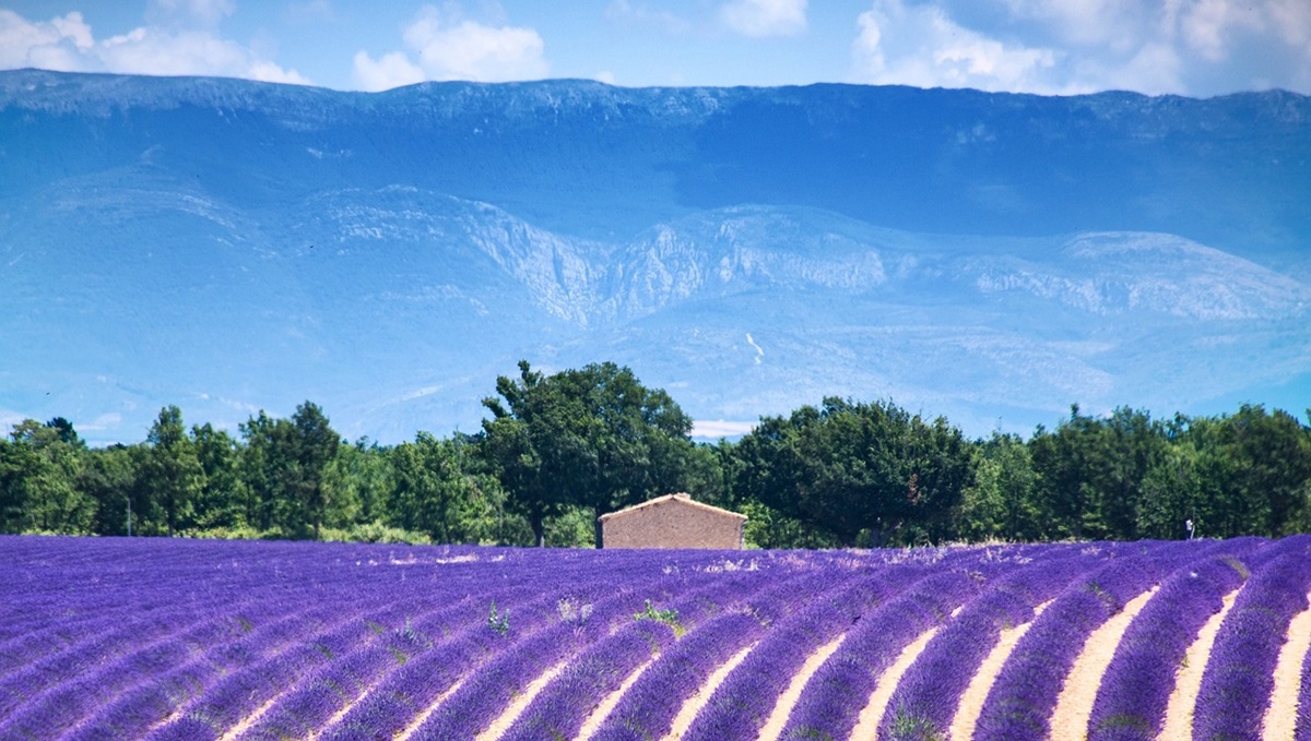 5 hal terbaik yang dapat dilakukan di Haute-Provence

 – Beragampengetahuan