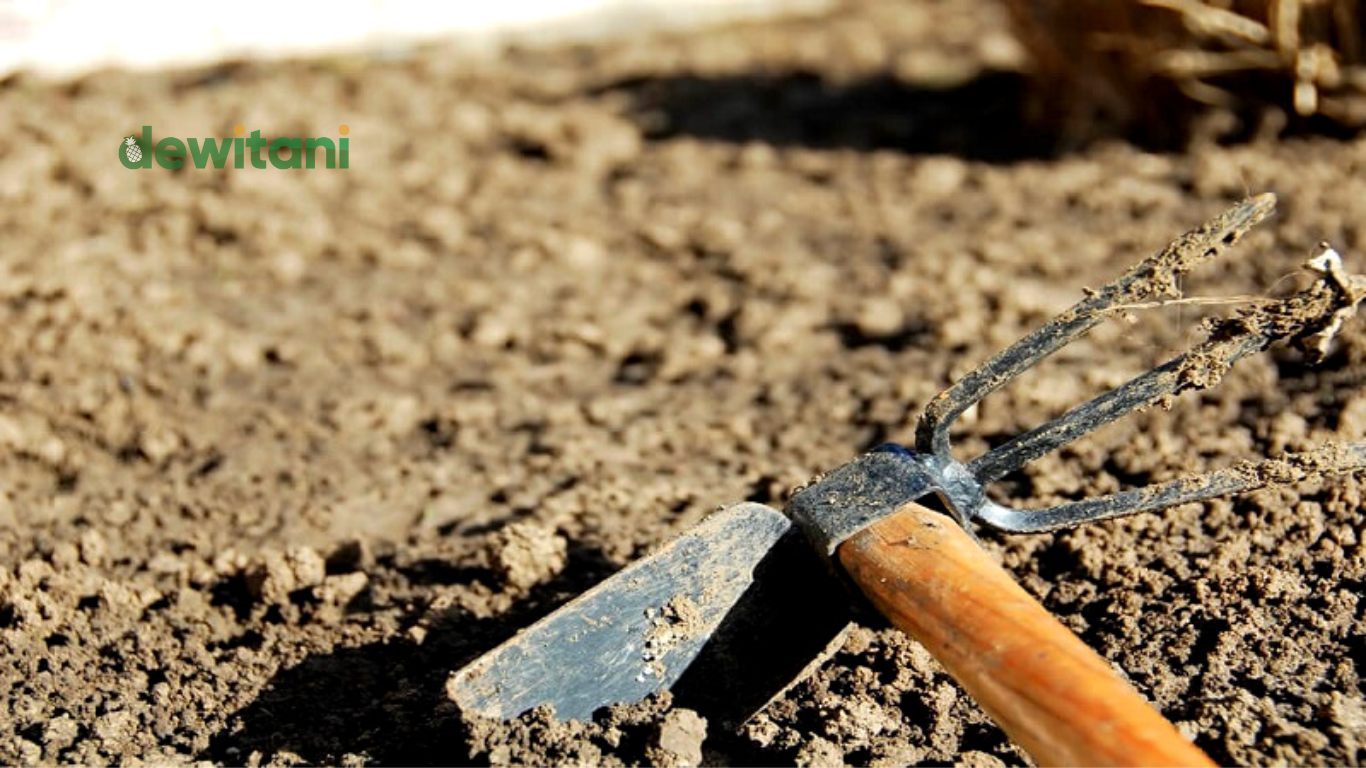 Ciri Cangkul Yang Bagus | Beragam Pengetahuan – Beragampengetahuan.com