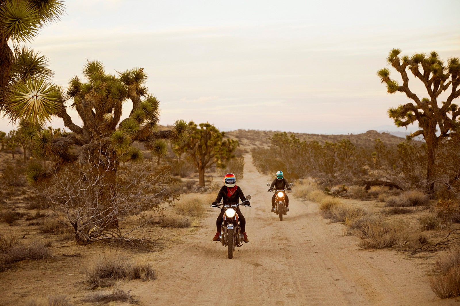 Everything you need to know about visiting Joshua Tree National Park – Beragampengetahuan