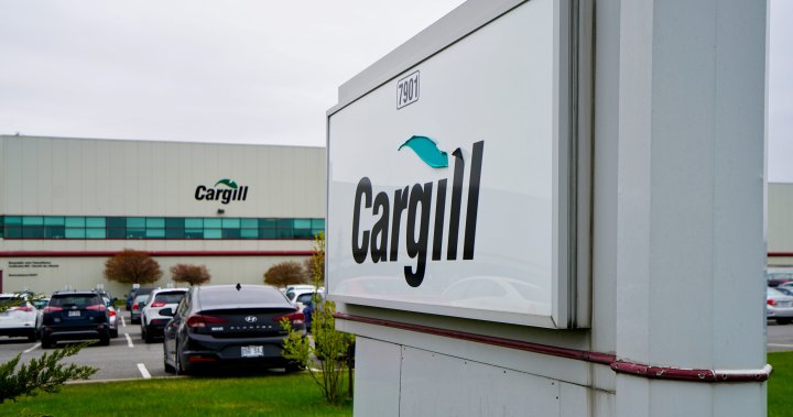 PHK Cargill diperkirakan tidak berdampak pada pekerjaan serikat pekerja di Kanada: UFCW

 – Beragampengetahuan