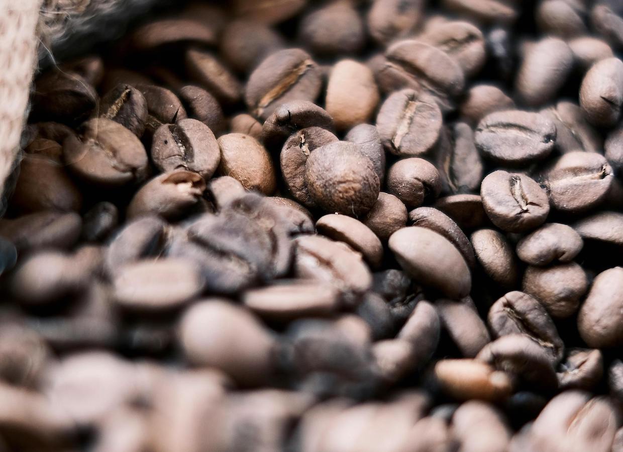 Persyaratan Margin untuk Pedagang + Peluncuran Berita Kopi Harian Majalah Arab Host Roast

 – Beragampengetahuan