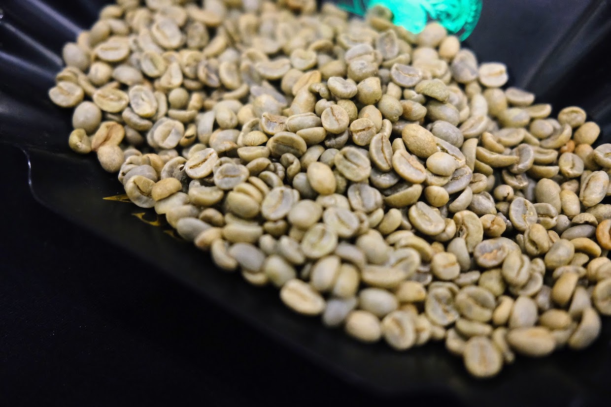 Laporan pasar kopi setengah tahunan di Brasil dan berita kopi harian ColombiaRoast Magazine

 – Beragampengetahuan