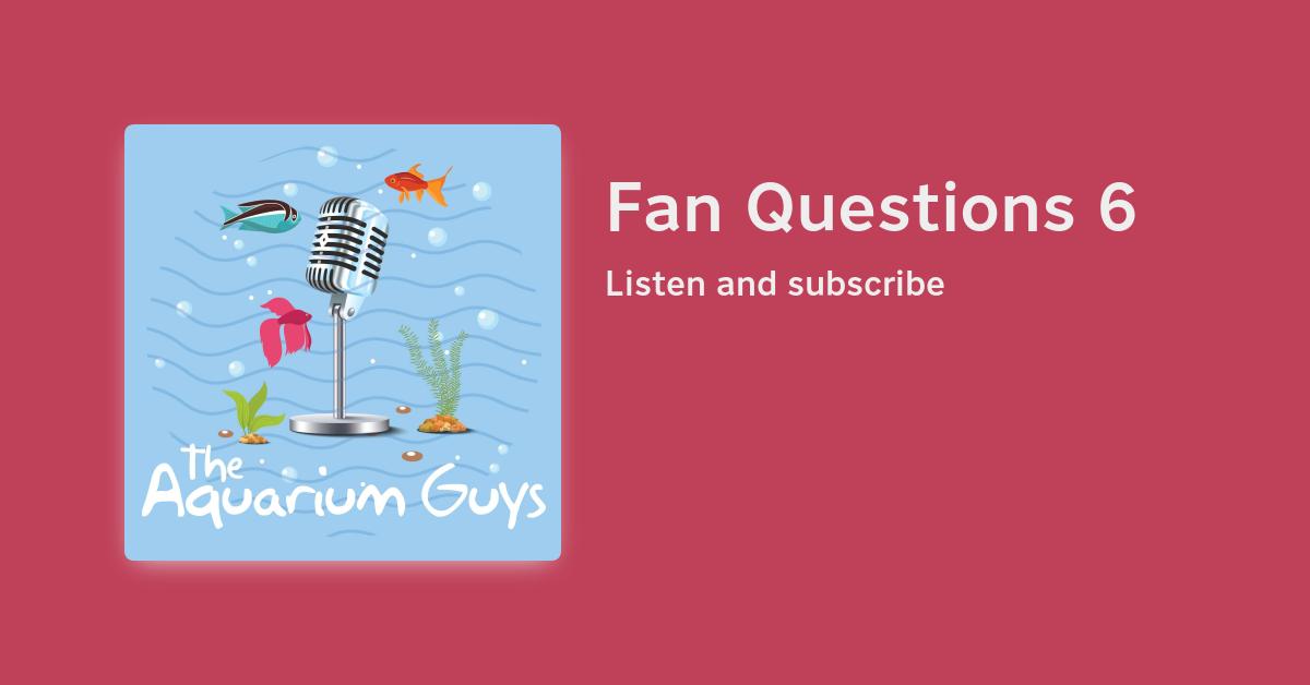 #113 – Fan Questions 6 – Beragampengetahuan