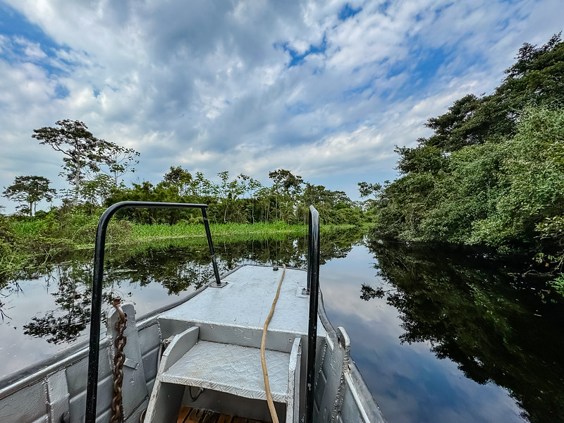 Black water skiff ride on the Ucayali River in Pacaya Samiria National Reserve in Peru
