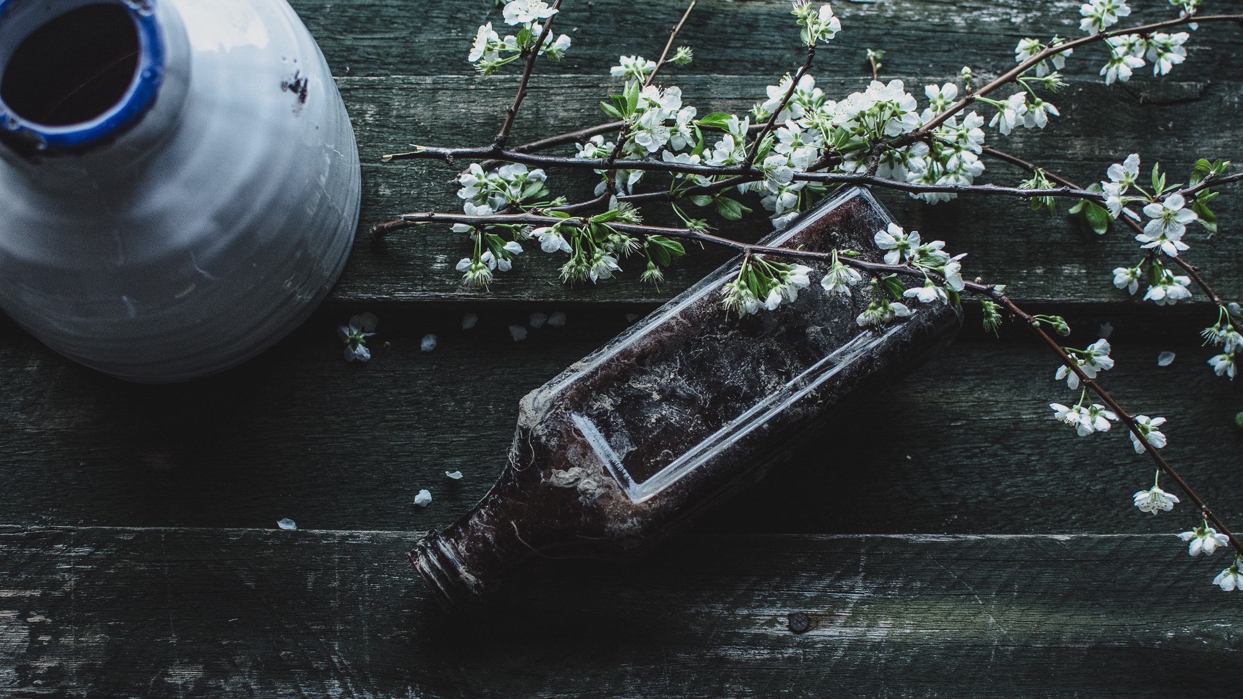 Menghormati Artem Wabi-Sabi benar-benar tidak sempurna

 – Beragampengetahuan