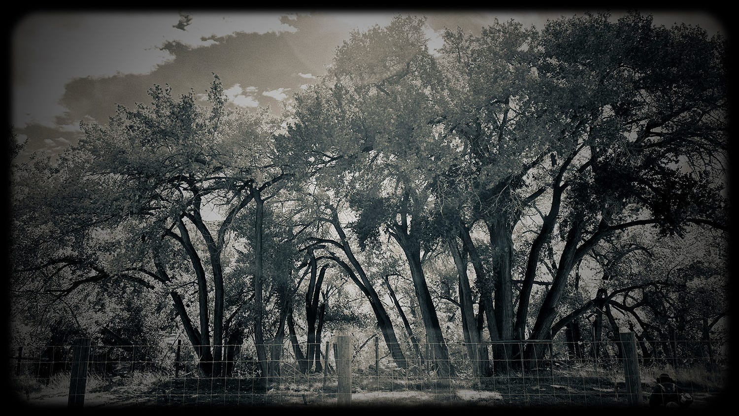 “In the dip” bisa jadi sangat berat: Inilah cara saya bisa mengalahkannya

 – Beragampengetahuan