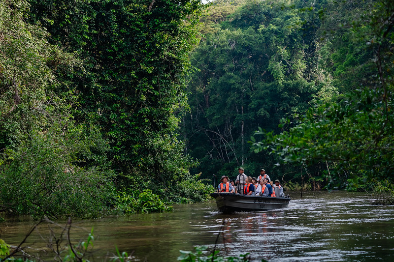 Skiff boat in Pacaya Samiria National Reserve near Iquitos, Peru