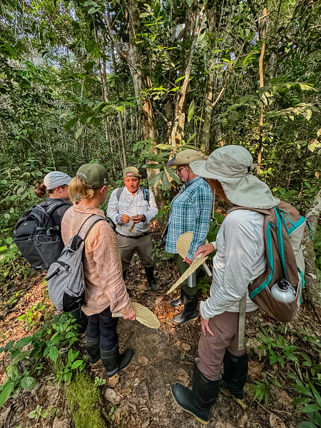 Group of people hiking in the Amazon Rainforest near Iquitos, Peru
