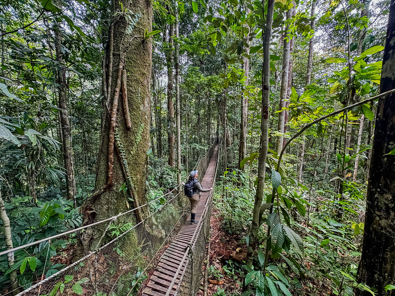 Lina Stock on a canopy walkway near Iquitos, Peru