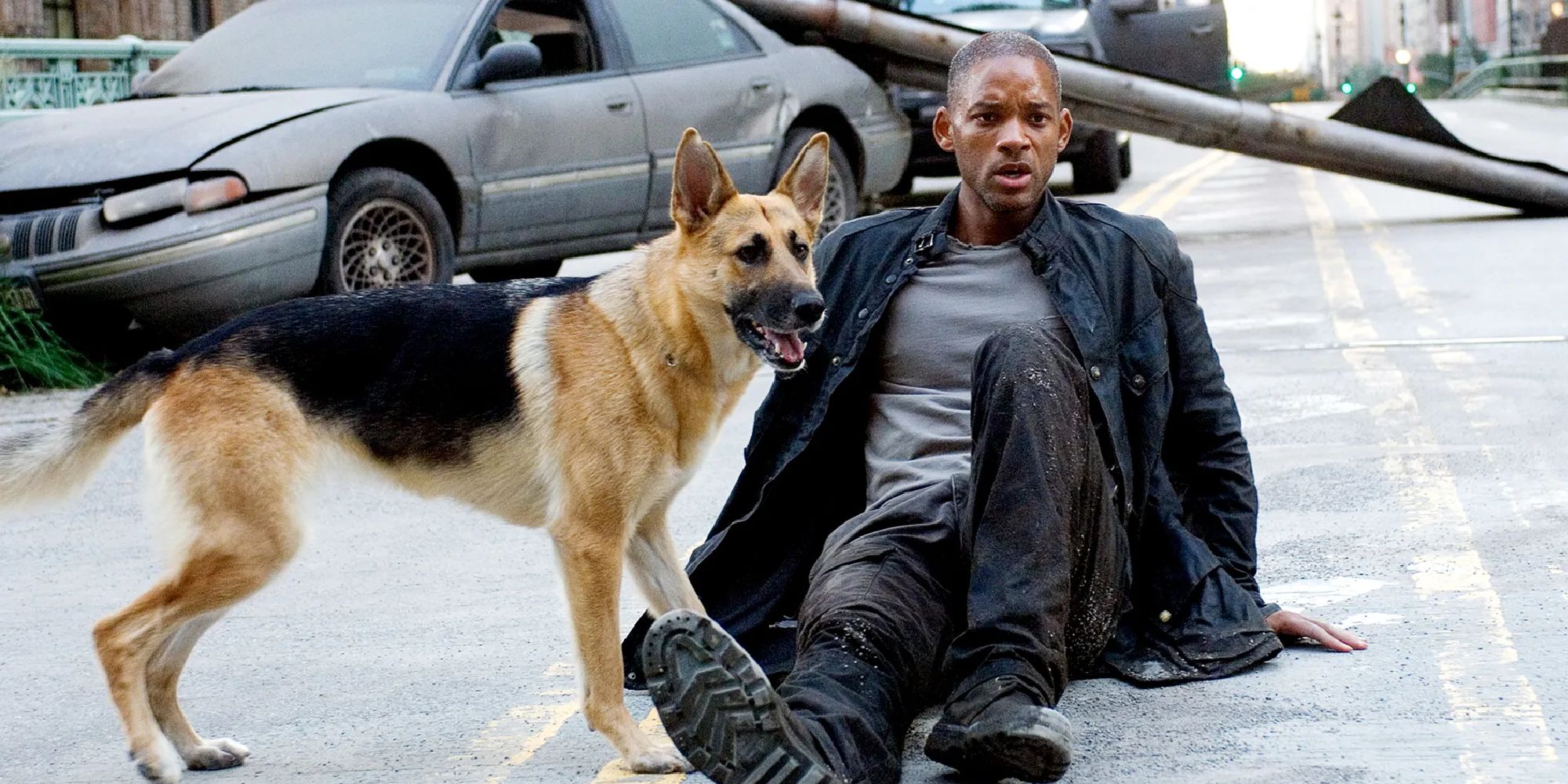 Will Smith and dog Sam in I Am Legend looking scared while sitting on the road.