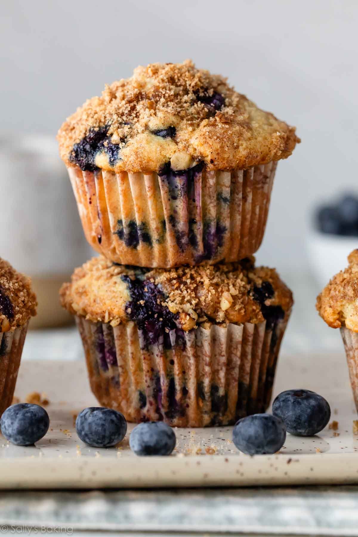 Resep Muffin Bloth Favorit – Sally’s Baking Poking

 – Beragampengetahuan